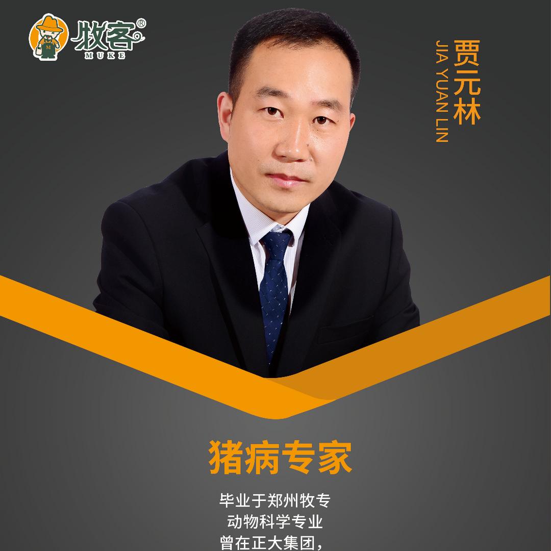 周口羊哥