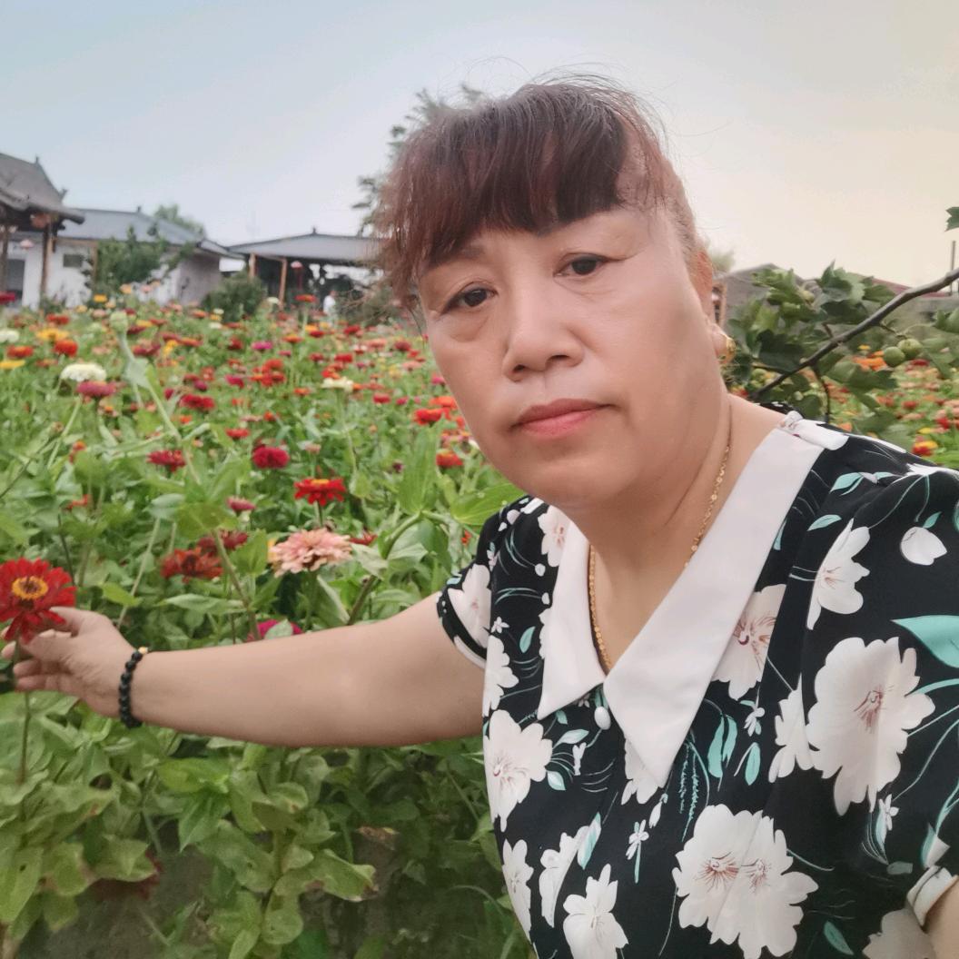 爱姐
