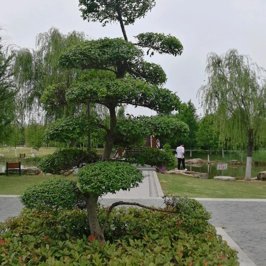 幸福美好巜拒绝私聊》