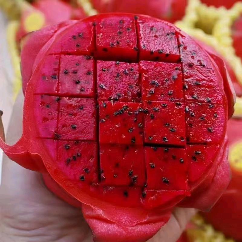 仁利鑫生态农业