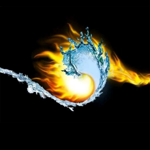 灵犀《万物生灵》