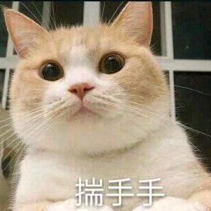 世界记忆大师龙雅