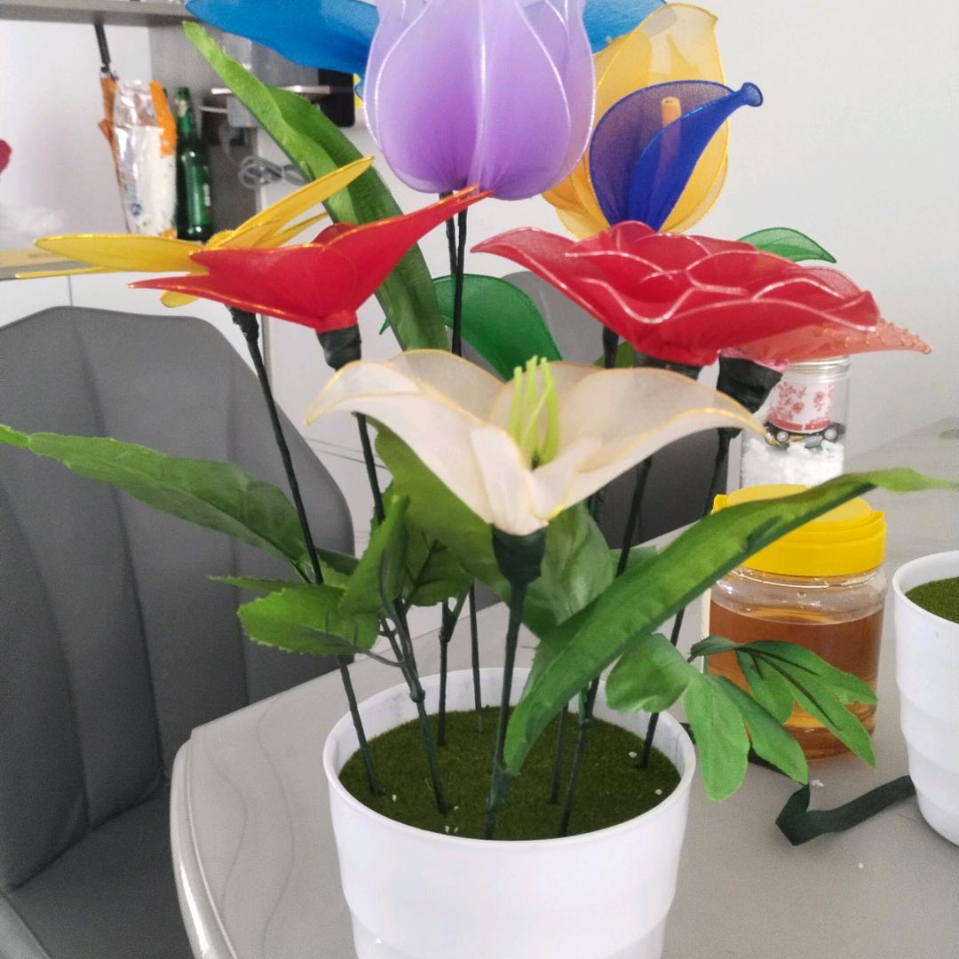豪晴