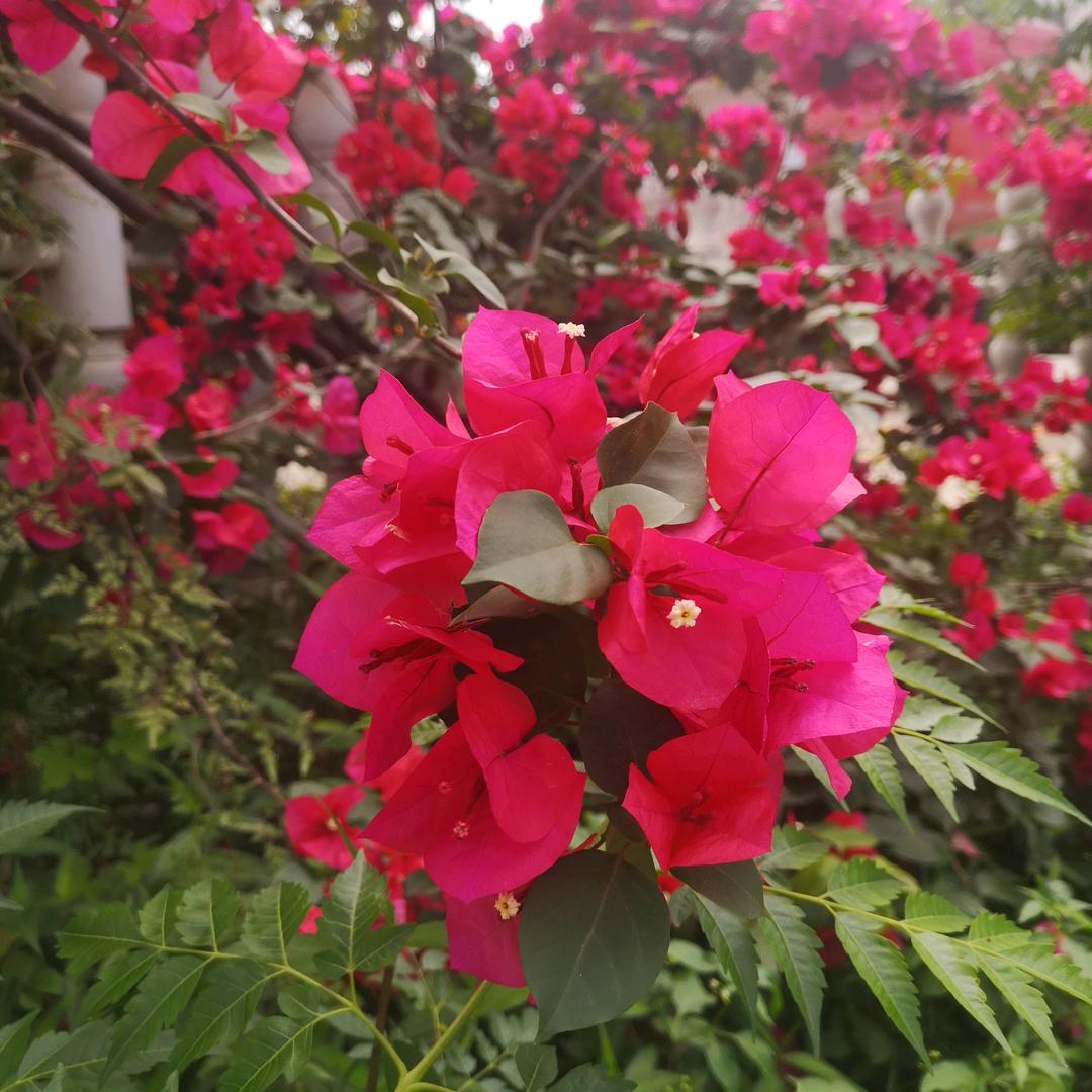 小遛