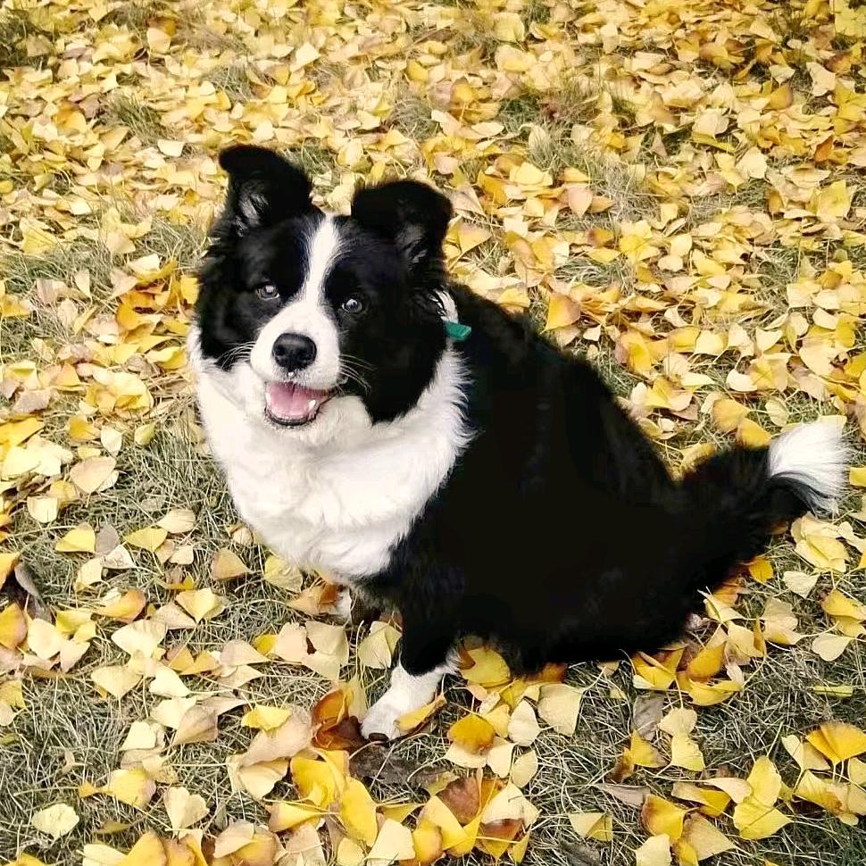 小发爱生活@抖音