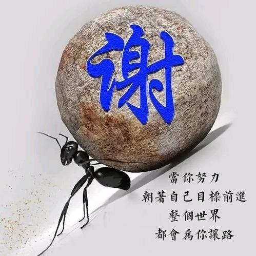 厌的人