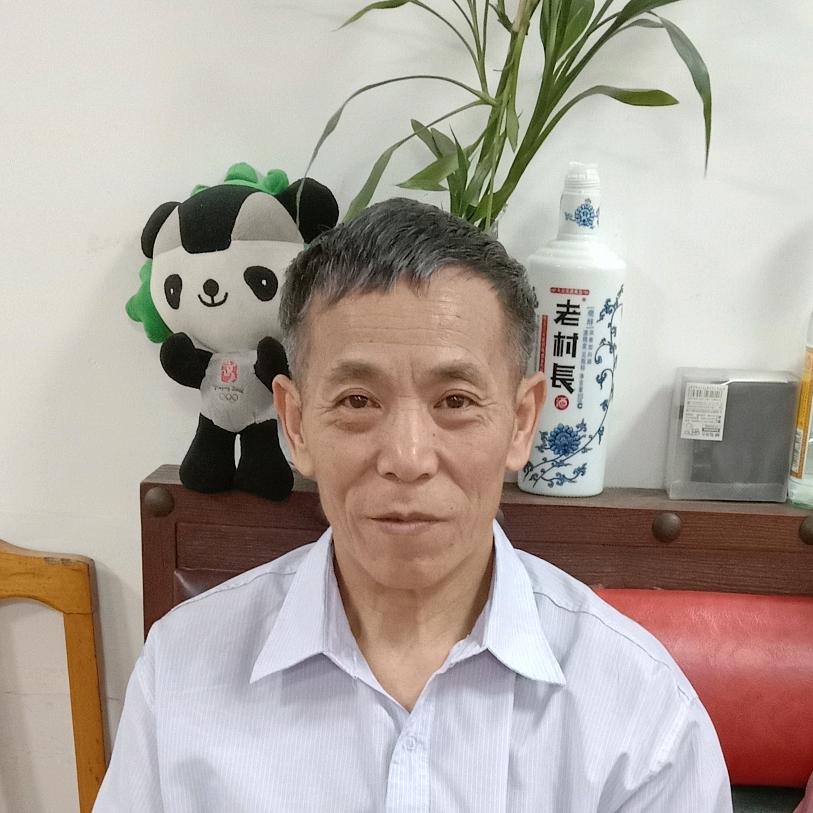 龙