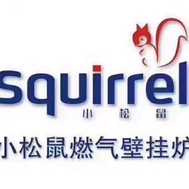 小松鼠壁挂炉慧姐