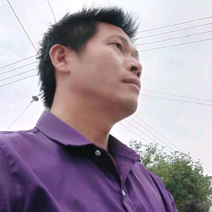 八零年的猴子