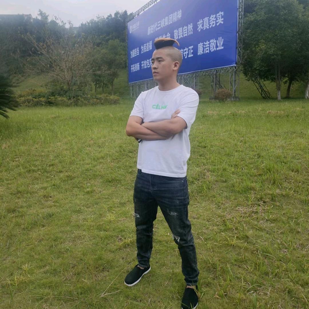 丁丁猫今晚打老虎🐯