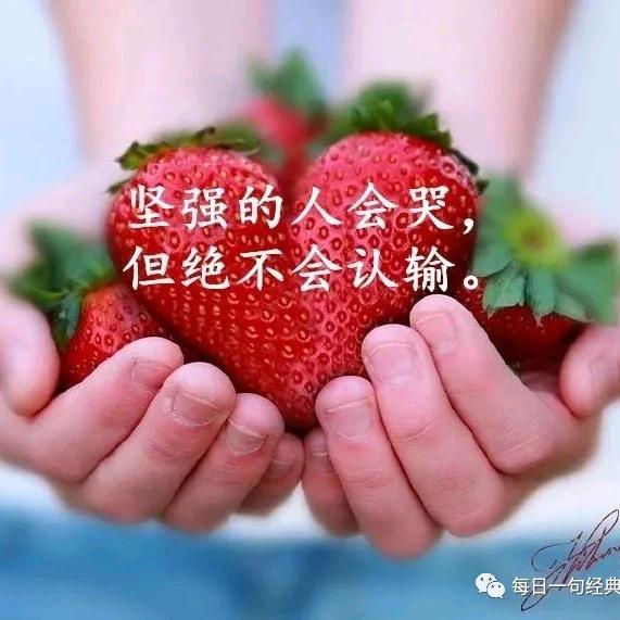 小白