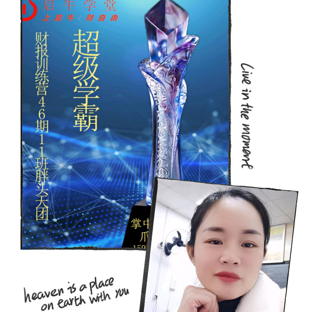 掌中金