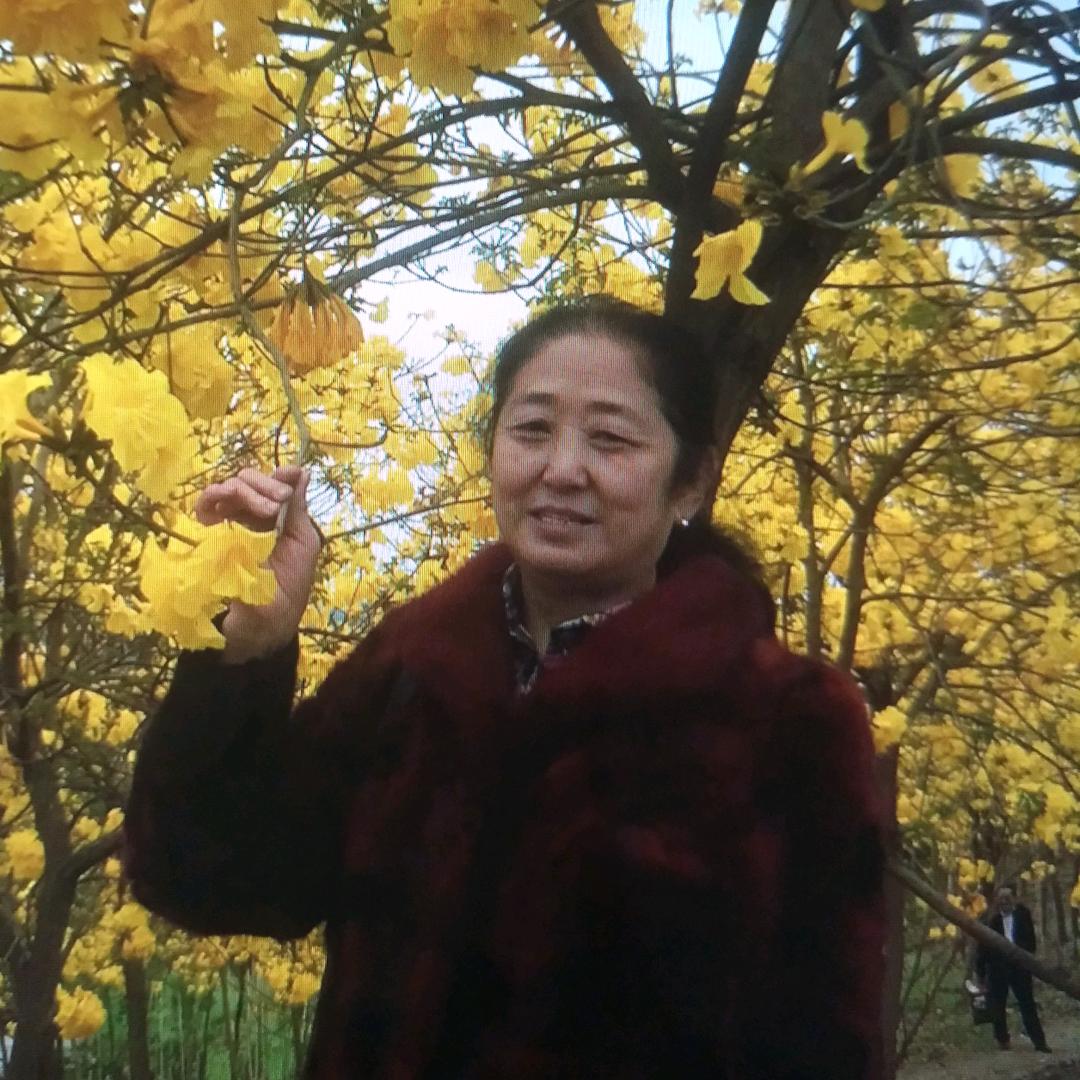 张孃孃
