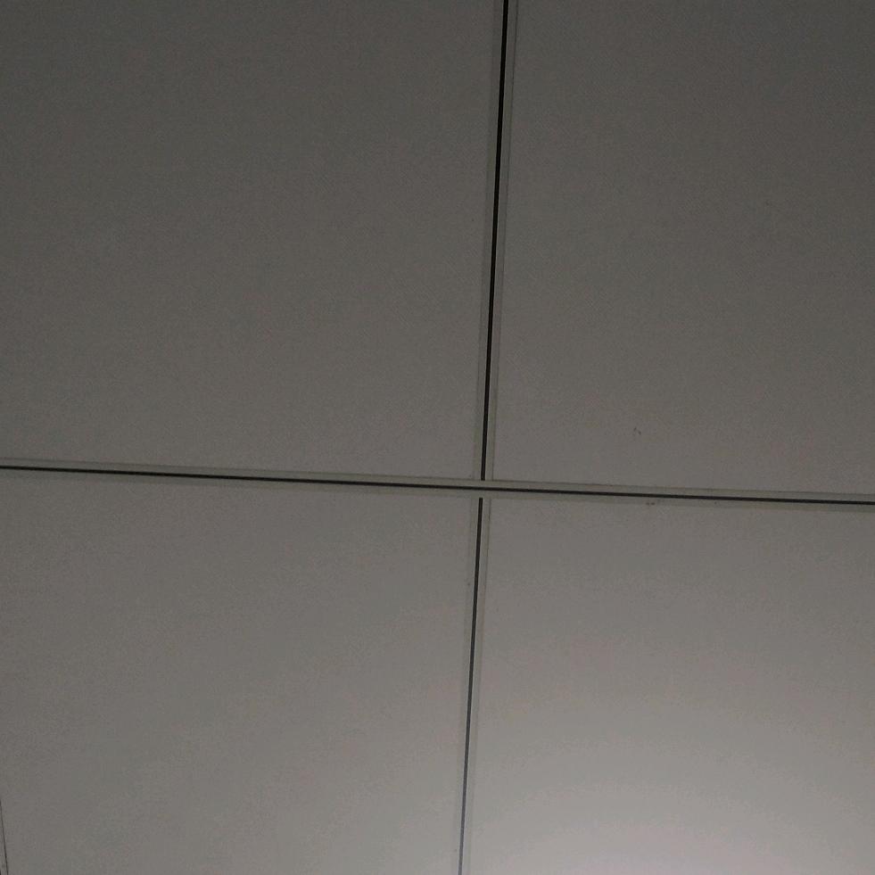 张林