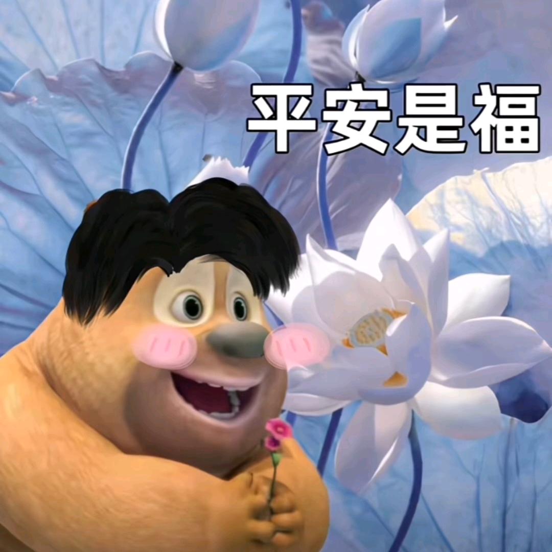 Oreo（见过毛不易三次版）
