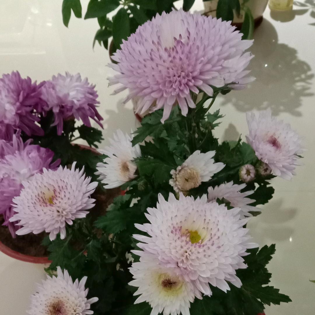 爱好而已