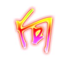 广空向国平