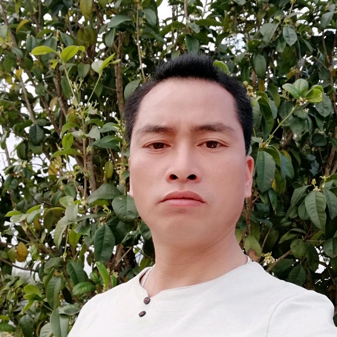 文