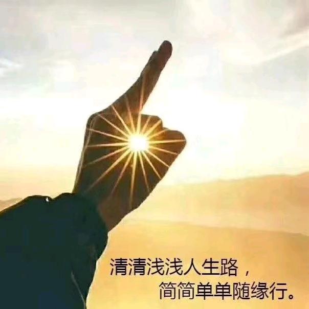 雪中梅（古玩）