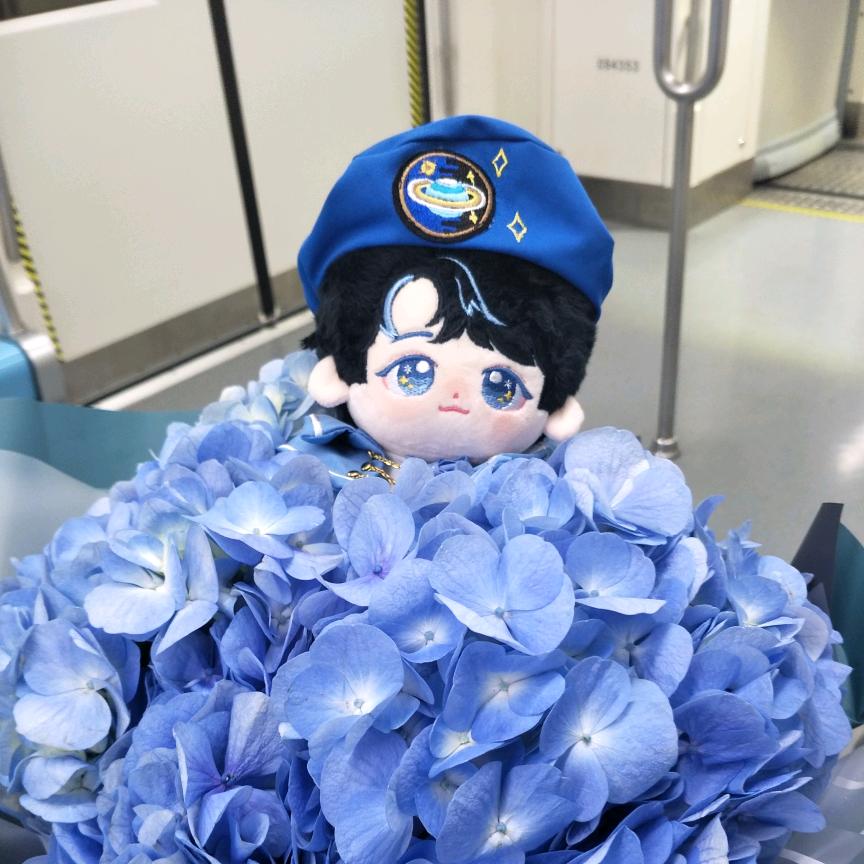 椰果小瓦