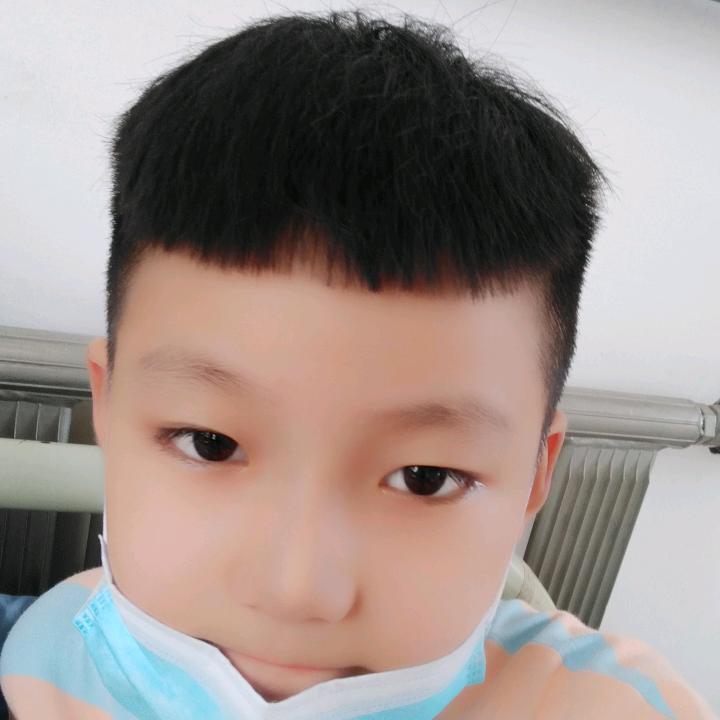 种春鸽
