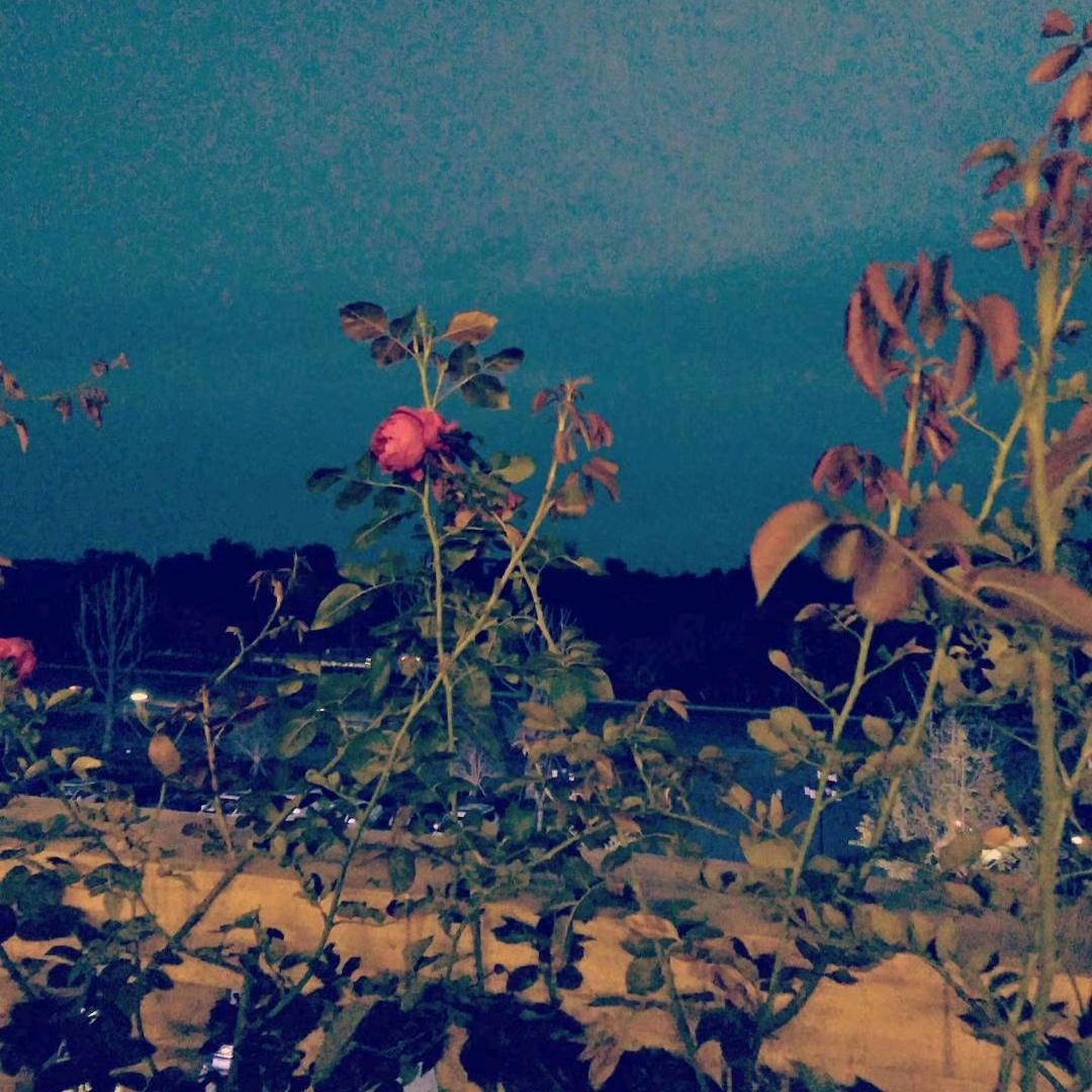 梦想与追求不熄