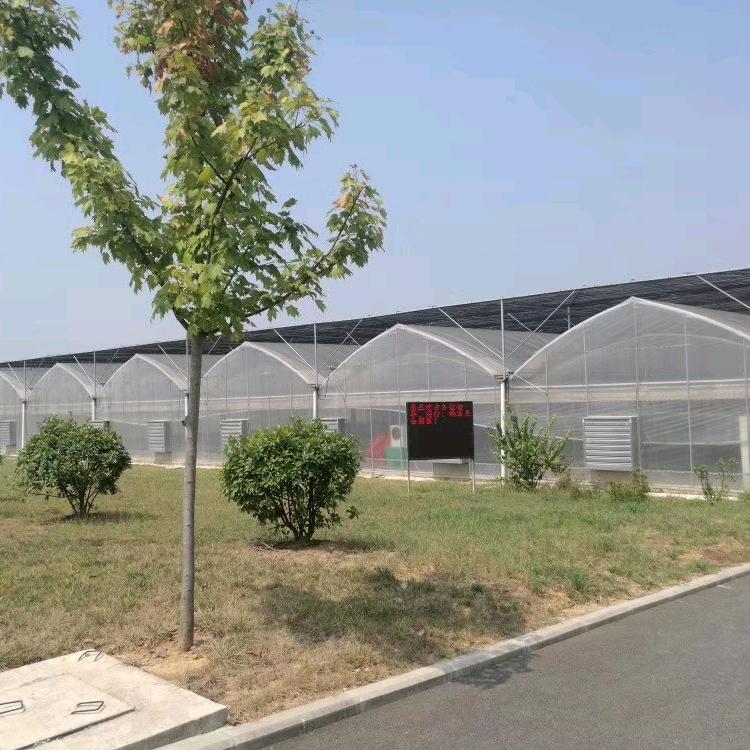 博丰温室大棚厂熊永奎