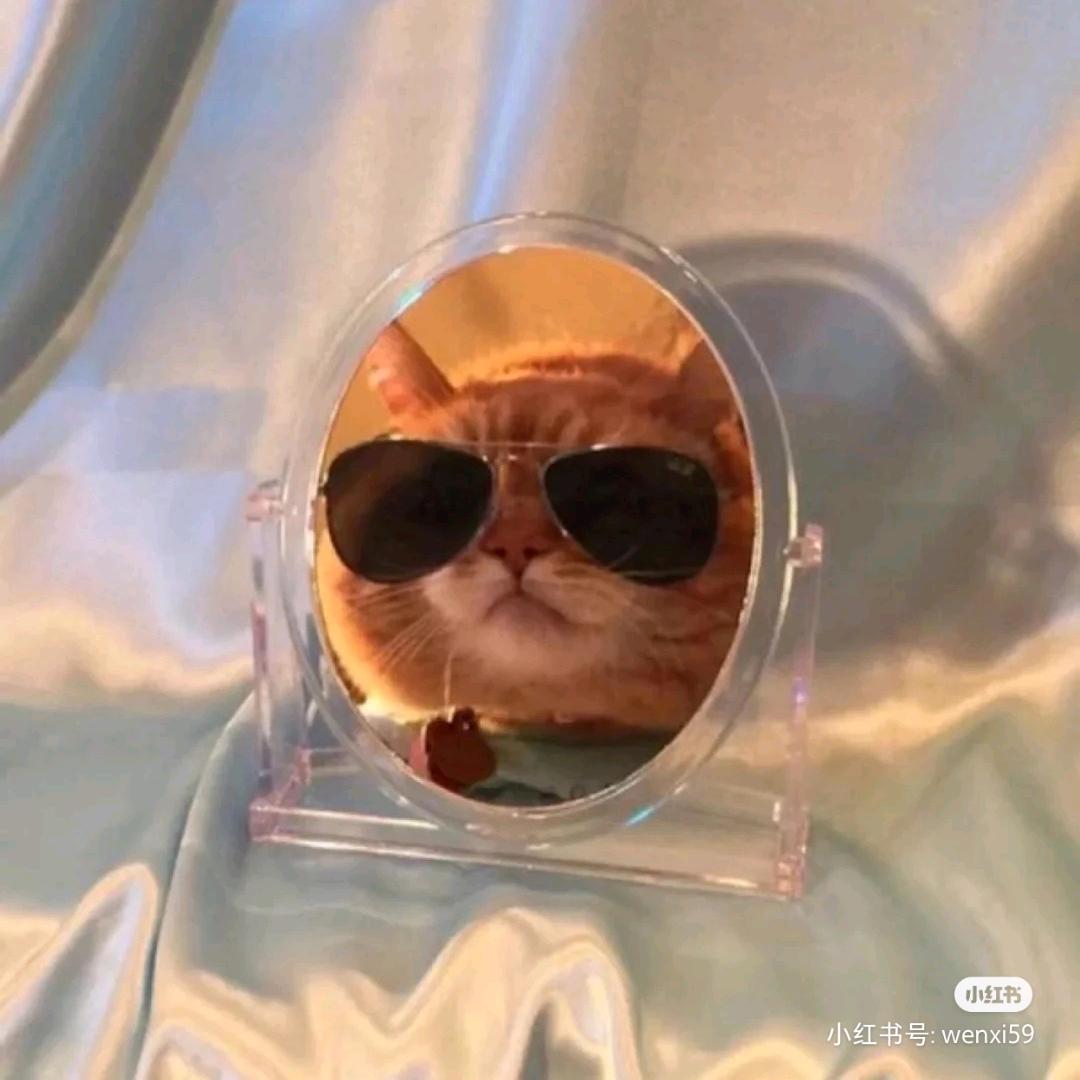 𝓒𝓸𝓬𝓪𝓒𝓸𝓵𝓪。