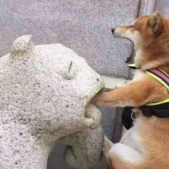 玮 ᥫᩣ.