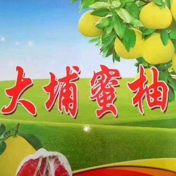 大埔～嘉家