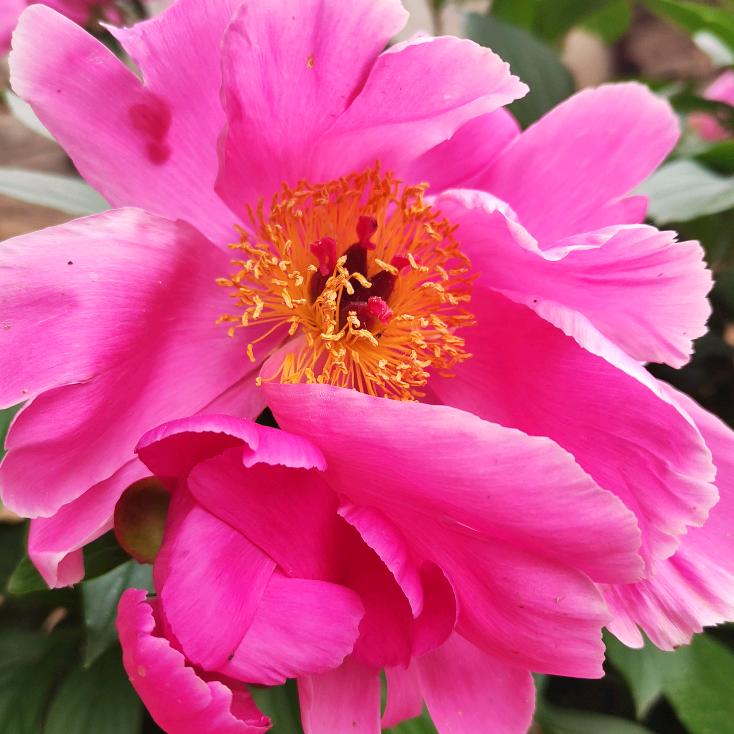 明知是场戏 ，还要陪你演下去。