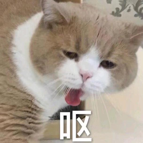 神经兮兮的酱汁