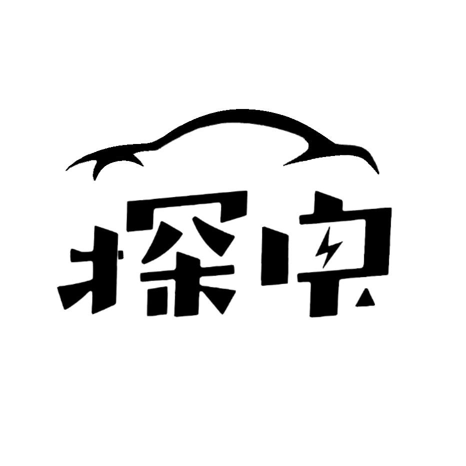 探电