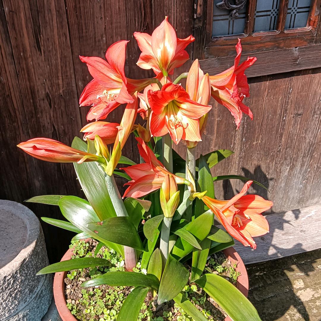 怪石庄