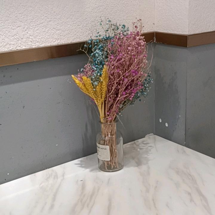 🌹海阔天空🌹