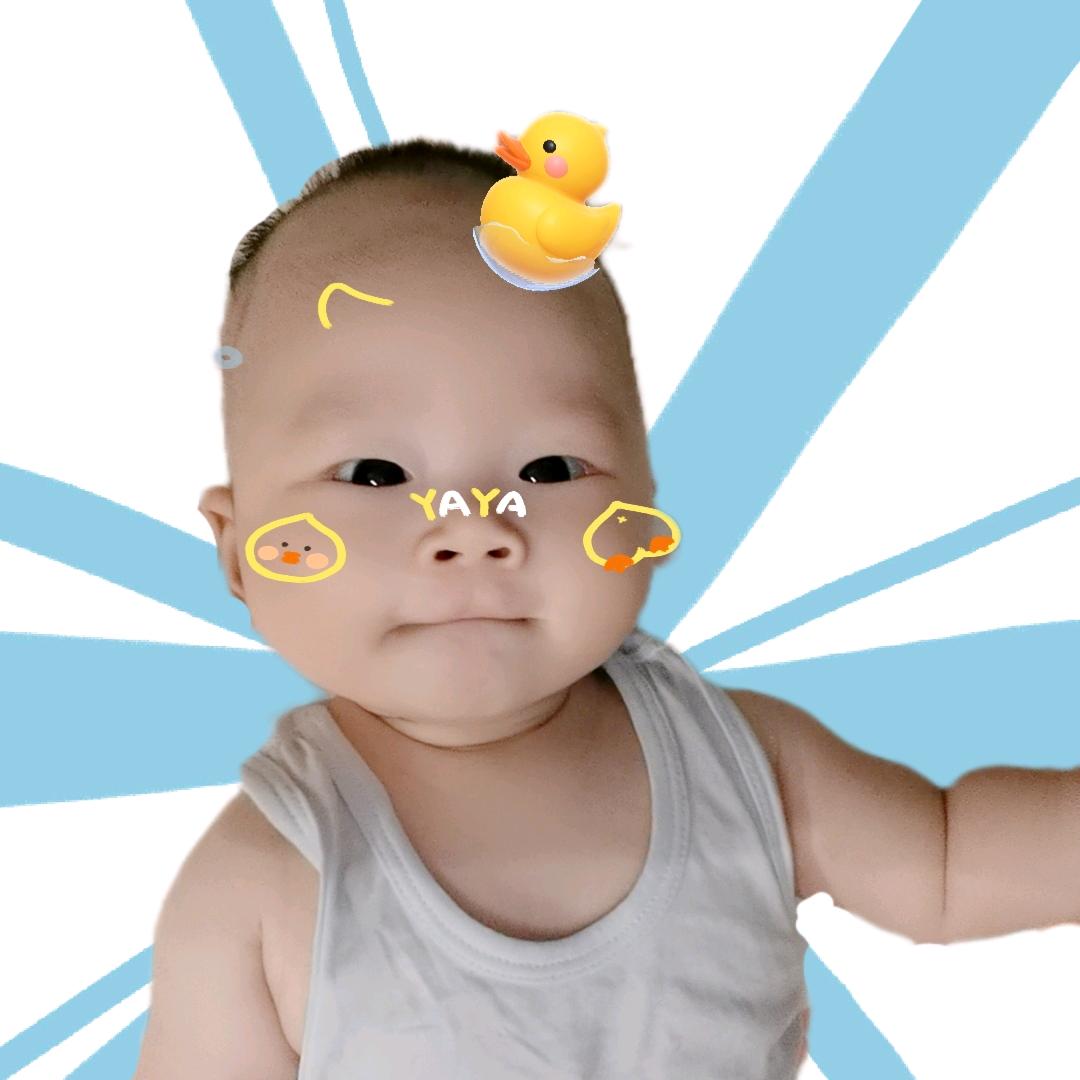 橘子比较甜
