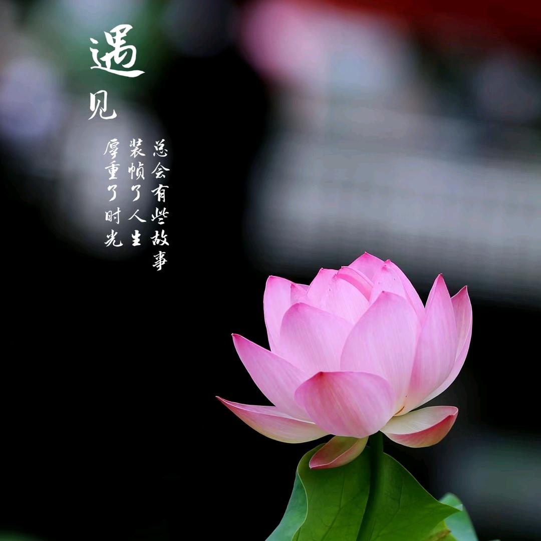 多多情感故事