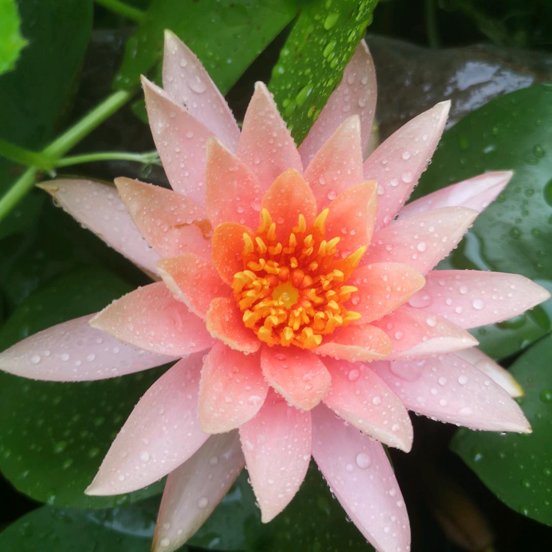 易点天下