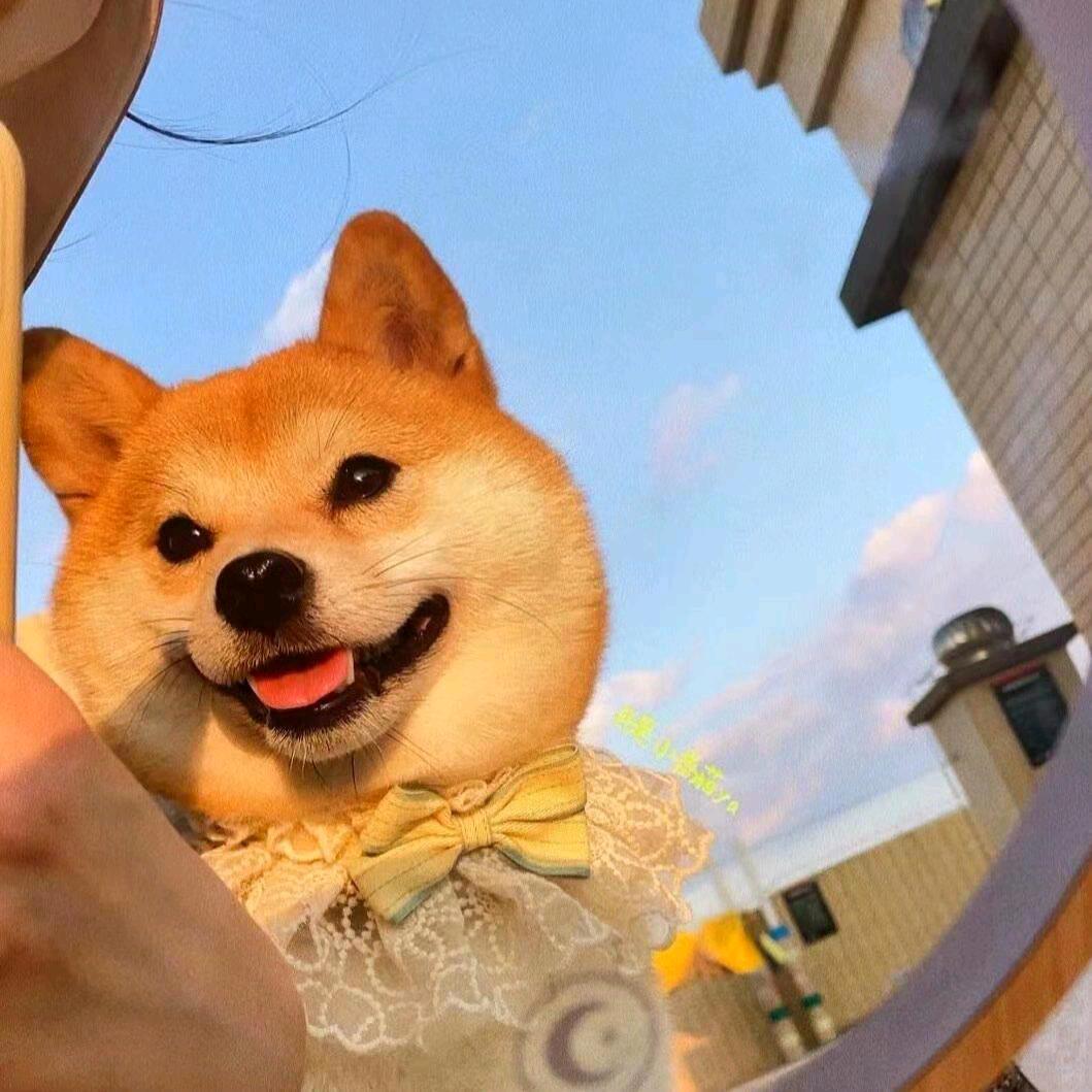 ᝰꫛꫀꪝ拾荒者