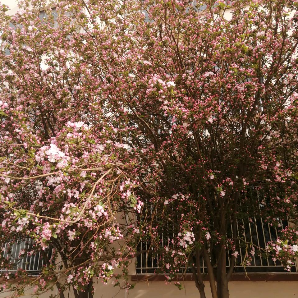 幸福快乐每一天