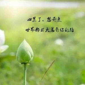 听雾赴生