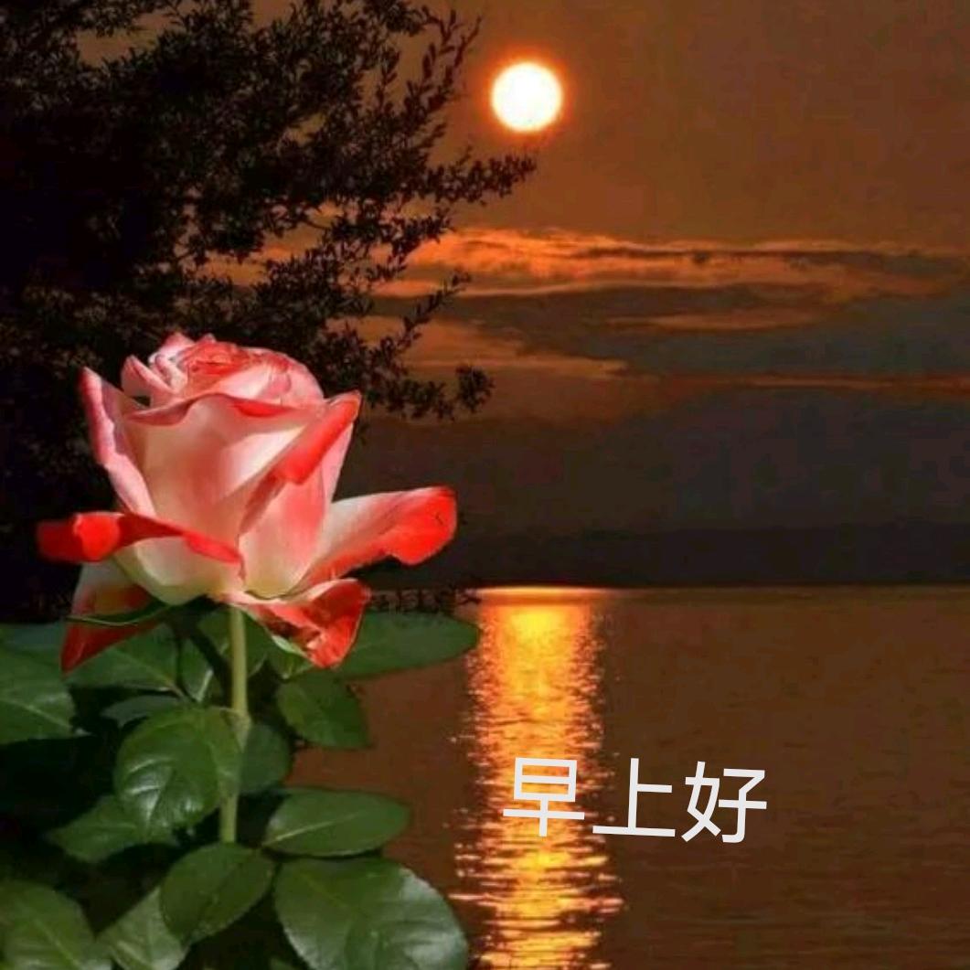 太阳雨☔️