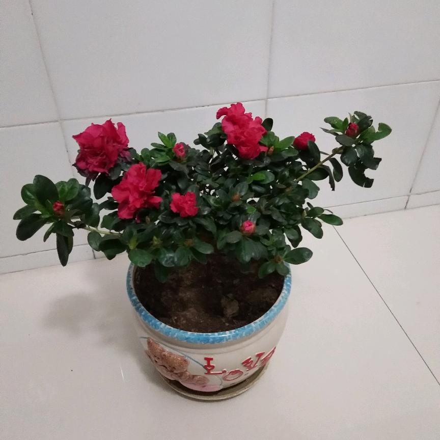一生平安，