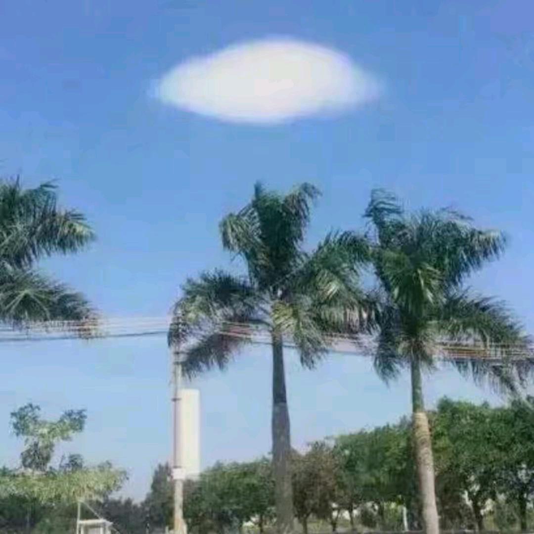 洪家三姐