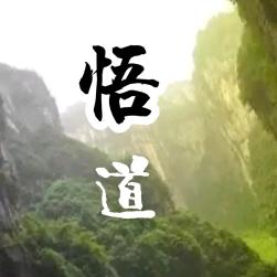 悟 国学