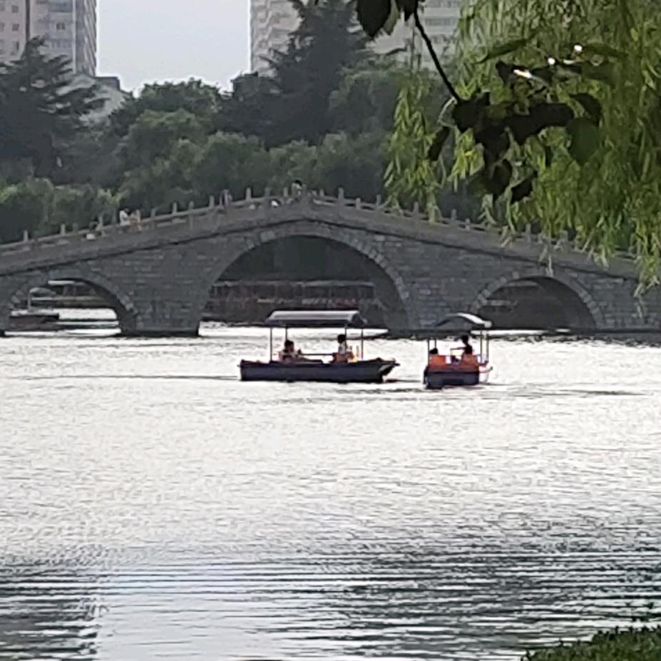 心飞扬