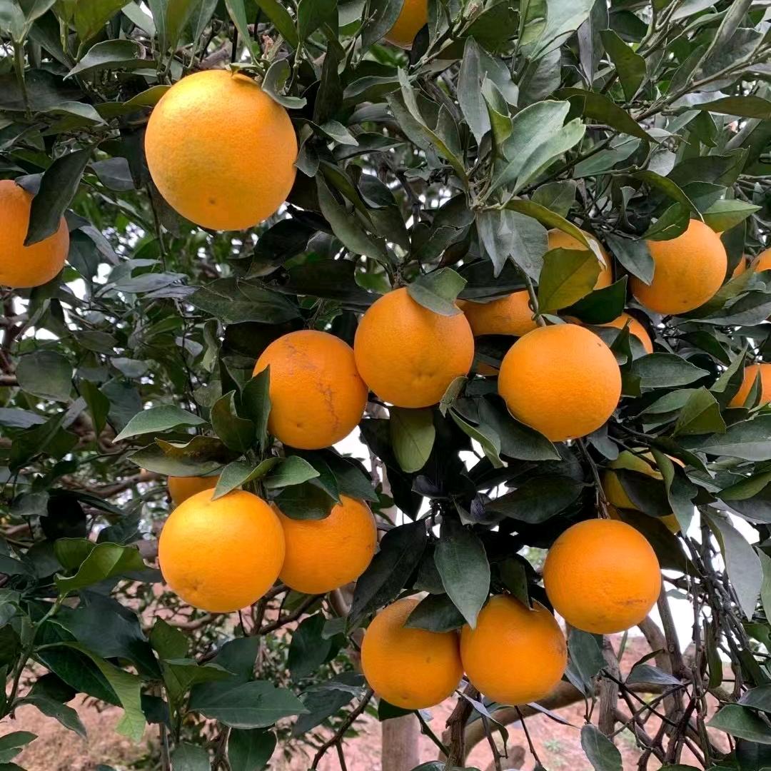 求兼职