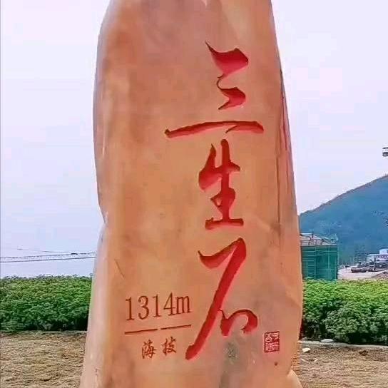 十年戎马心孤单☞