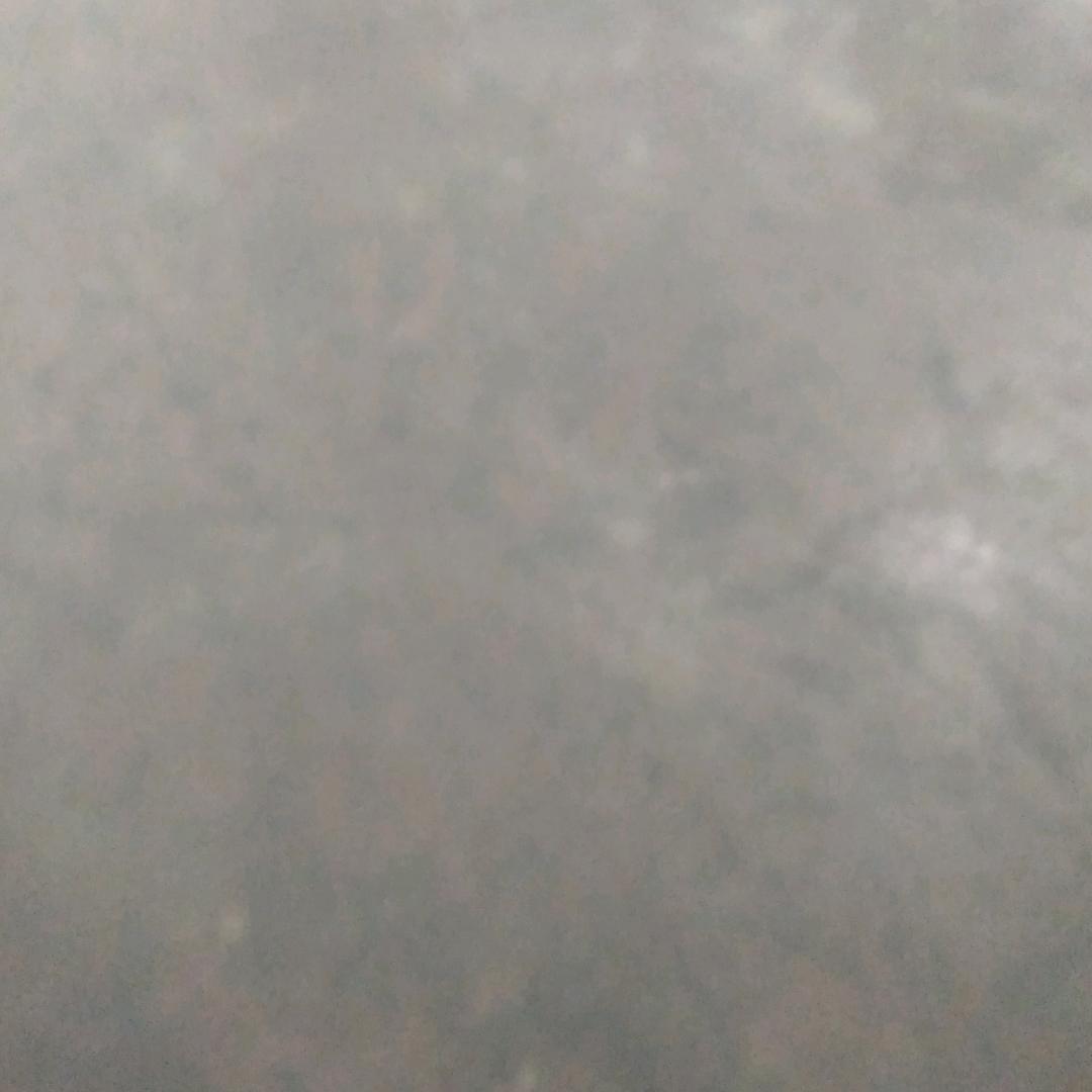 、正杰