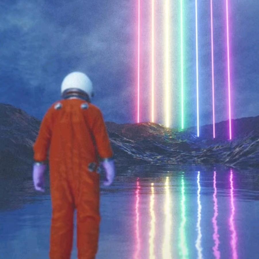 蓝桉长在洱海边